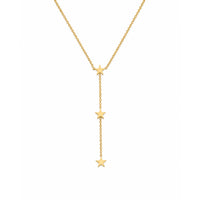 WRITTEN IN THE STARS LARIAT